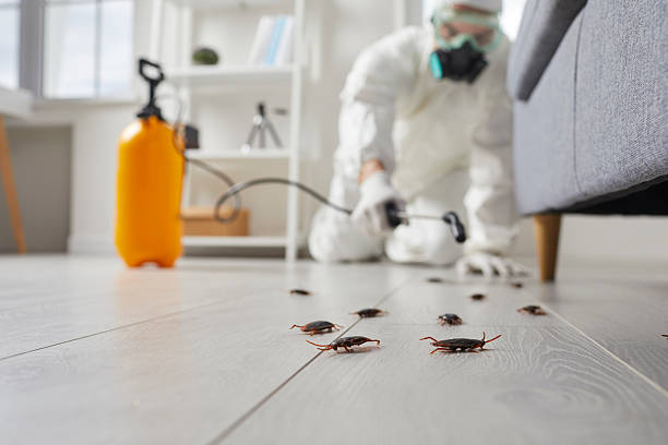 Commercial Kitchen Cockroach Control in Ucon